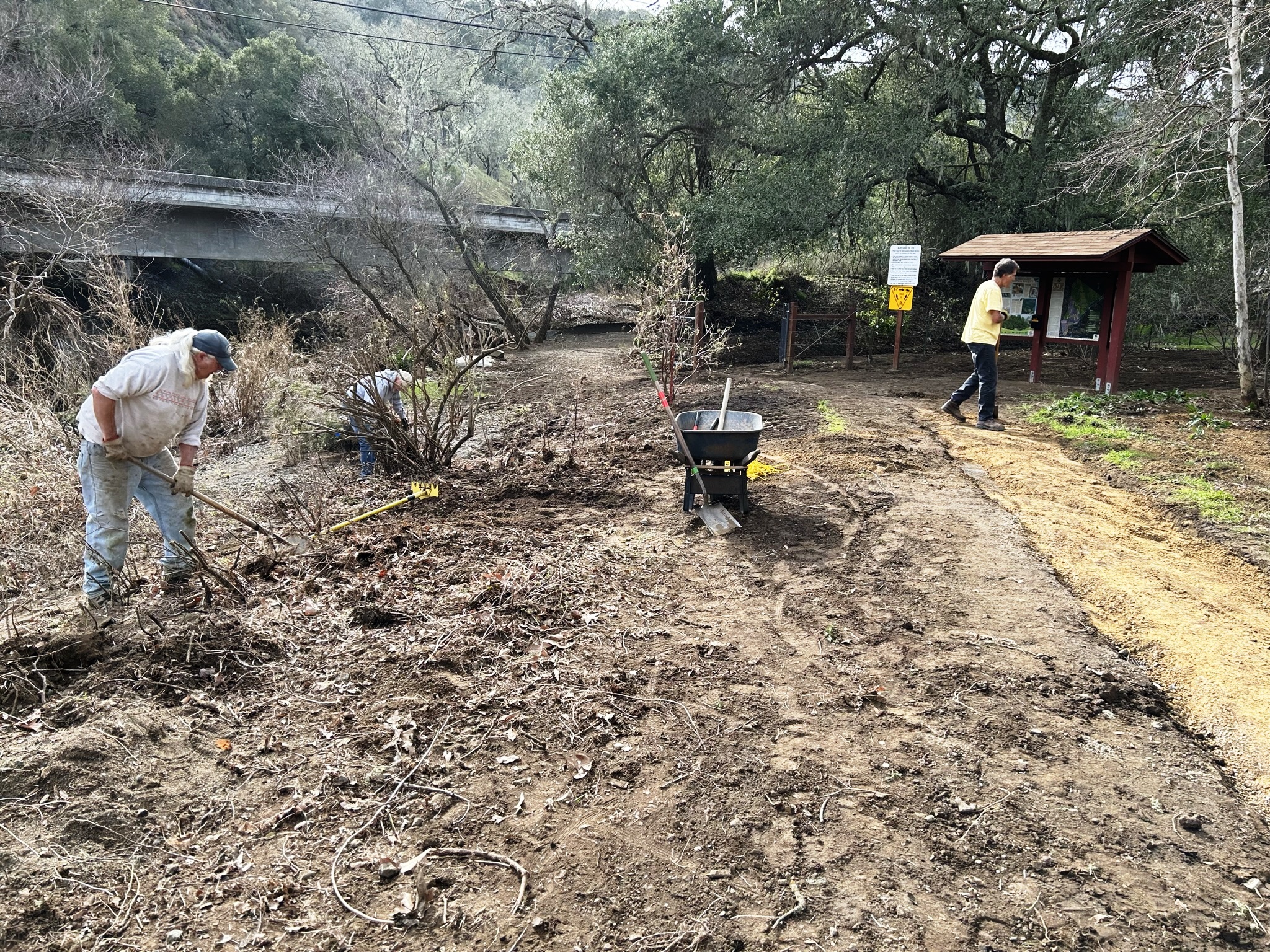 Clearing brush from the fence line